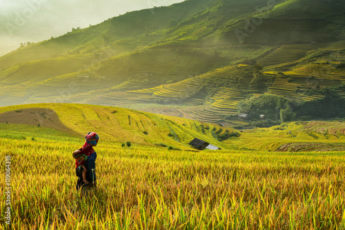 Farmer and Rice terrace on during sunrise  ,Vietnam © saravut