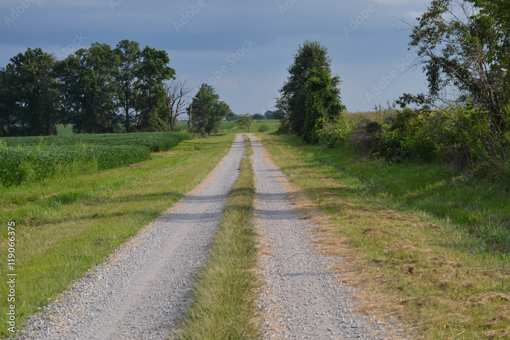 Gravel Road surrounded by fields Gravel Road surrounded by fields