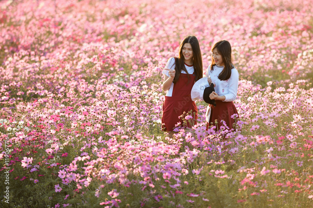 Woman and Cosmos flowers blooming in the garden Woman and Cosmos flowers blooming in the garden