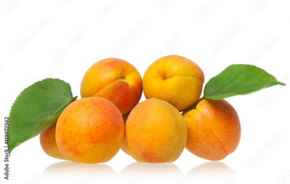 Fresh ripe apricots Fresh ripe apricots