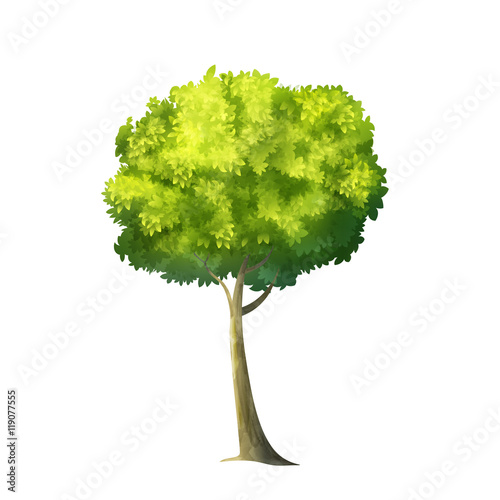 Big Green Tree