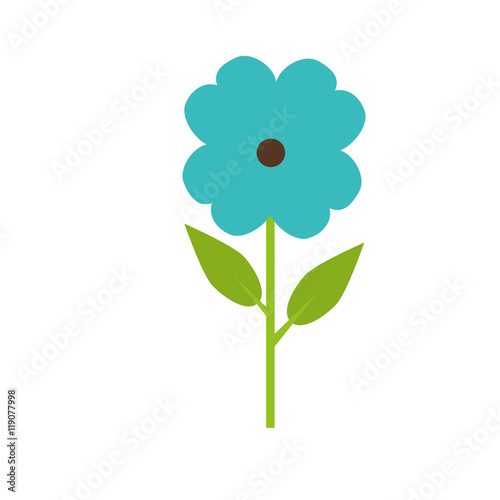beautiful blue flower plant floral natural  gardening spring vector illustration