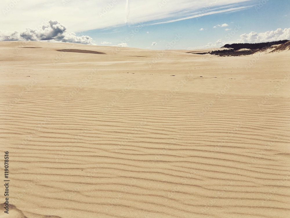 Fototapeta premium Widok na pustynie