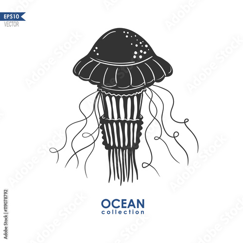 vector jellyfish silhouette