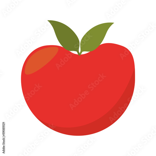 tomato vegetable red natural and organic food vector illustration