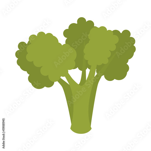 broccoli vegetable food natural organic cook ingredient vector illustration