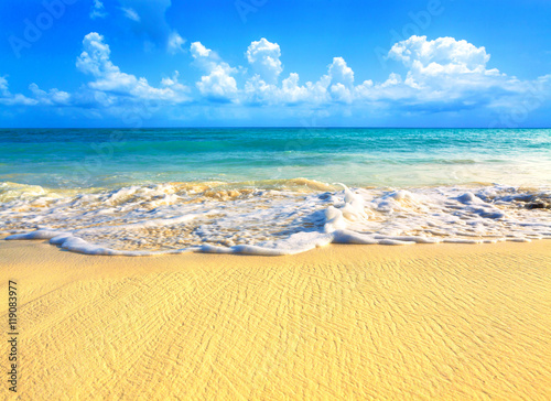 Tropical sand beach in Caribbean sea, Dominican Republic. Summer beach paradise. Island beach with blue sea water. Sea foam on beach. Paradise of sea beach. Empty sea beach. © Vladimir Sazonov