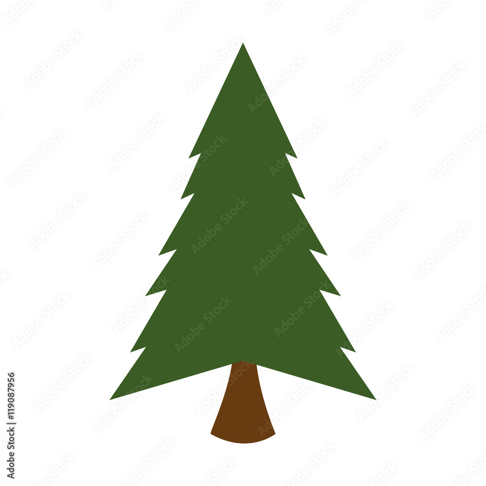 Obraz premium pine tall tree plant traditional christmas decorative symbol vector illustration