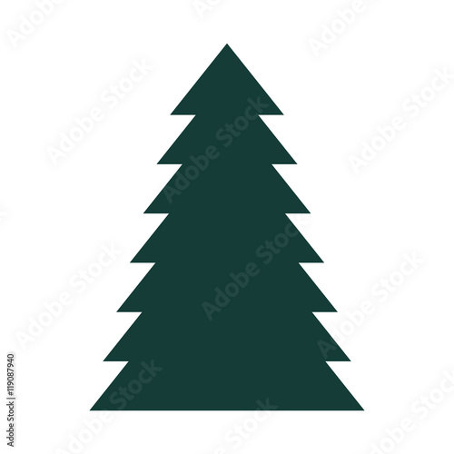 pine tall tree plant traditional christmas decorative symbol vector illustration