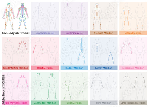 Body meridian chart with names and different colors - Traditional Chinese Medicine. photo