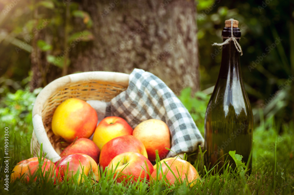 frische Äpfel und Apfelwein (Cidre) auf einer Wiese Stock-Foto | Adobe ...