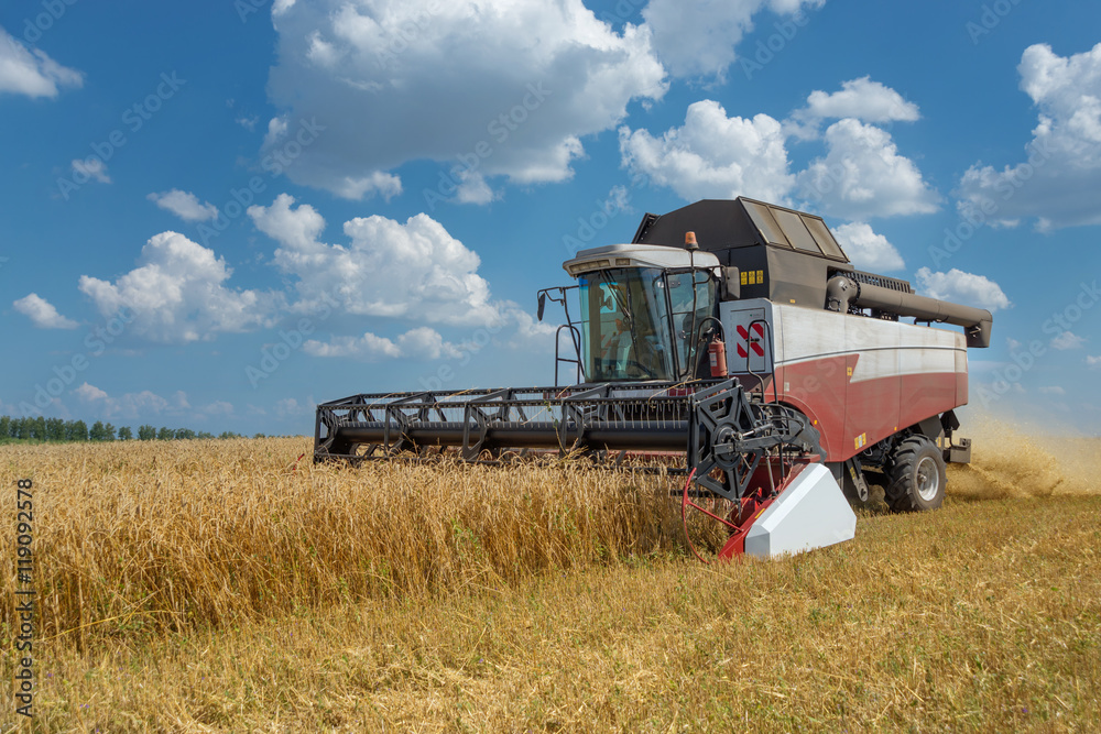 Harvester on a field of wheat Harvester on a field of wheat