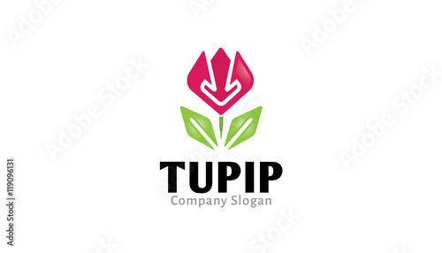 Tulip Logo Design Illustration
