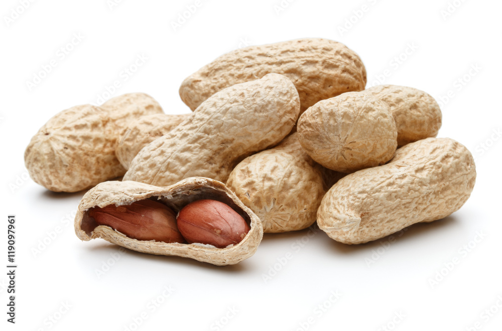 peanut pod or arachis isolated on white background cutout peanut pod or arachis isolated on white background cutout