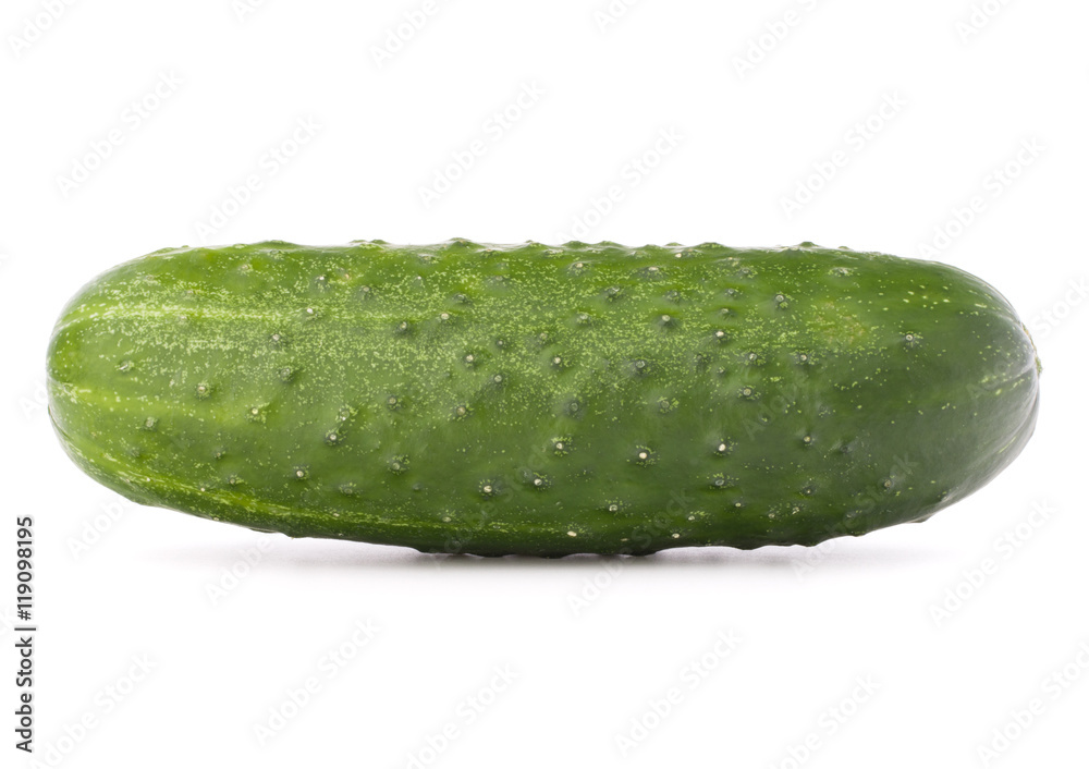 Cucumber vegetable isolated on white background cutout Cucumber vegetable isolated on white background cutout