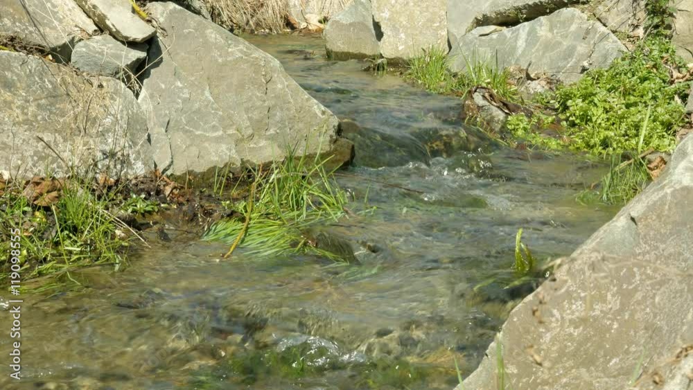 Water flowing in little brook 4K Water flowing in little brook 4K