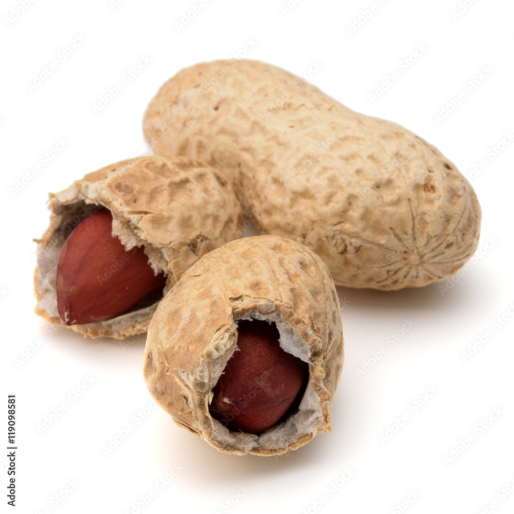 Opened and whole peanut or groundnut pod isolated on white backg Opened and whole peanut or groundnut pod isolated on white backg
