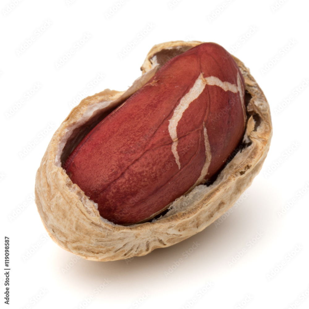 Opened peanut or groundnut pod isolated on white background clos Opened peanut or groundnut pod isolated on white background clos