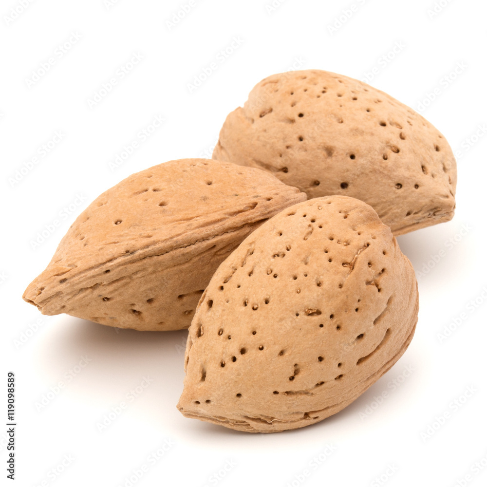 Almond nut in shell isolated on white background close up Almond nut in shell isolated on white background close up