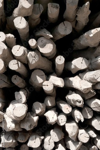 Pile of wood logs Background.