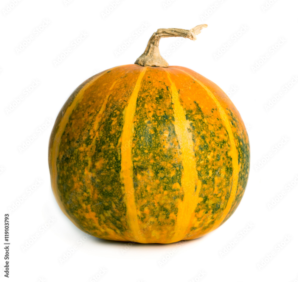 Pumpkin Pumpkin