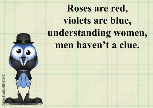 Understanding women poem