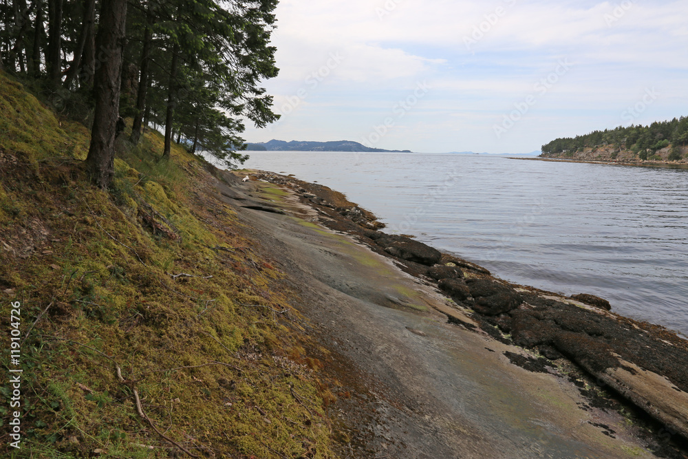 The shore of Gabriola Island in British Columbia, Canada.  .