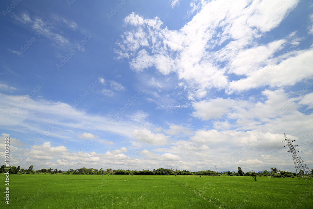 Landscape of a peaceful rice field on clouds and sky background : Thailand Landscape of a peaceful rice field on clouds and sky background : Thailand
