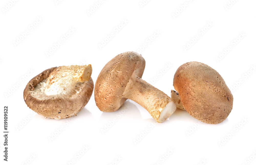 fresh Shiitake mushrooms on white background fresh Shiitake mushrooms on white background
