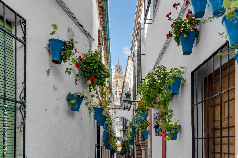 Fototapeta premium Calleja de las Flores in Cordoba, Andalusia, Spain.