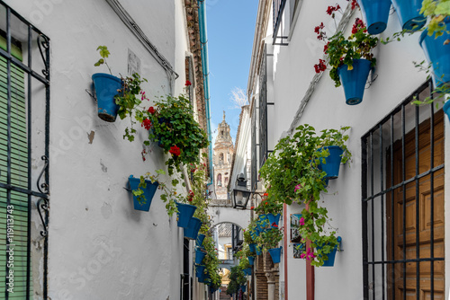 Fototapeta Naklejka Na Ścianę i Meble -  Calleja de las Flores in Cordoba, Andalusia, Spain.