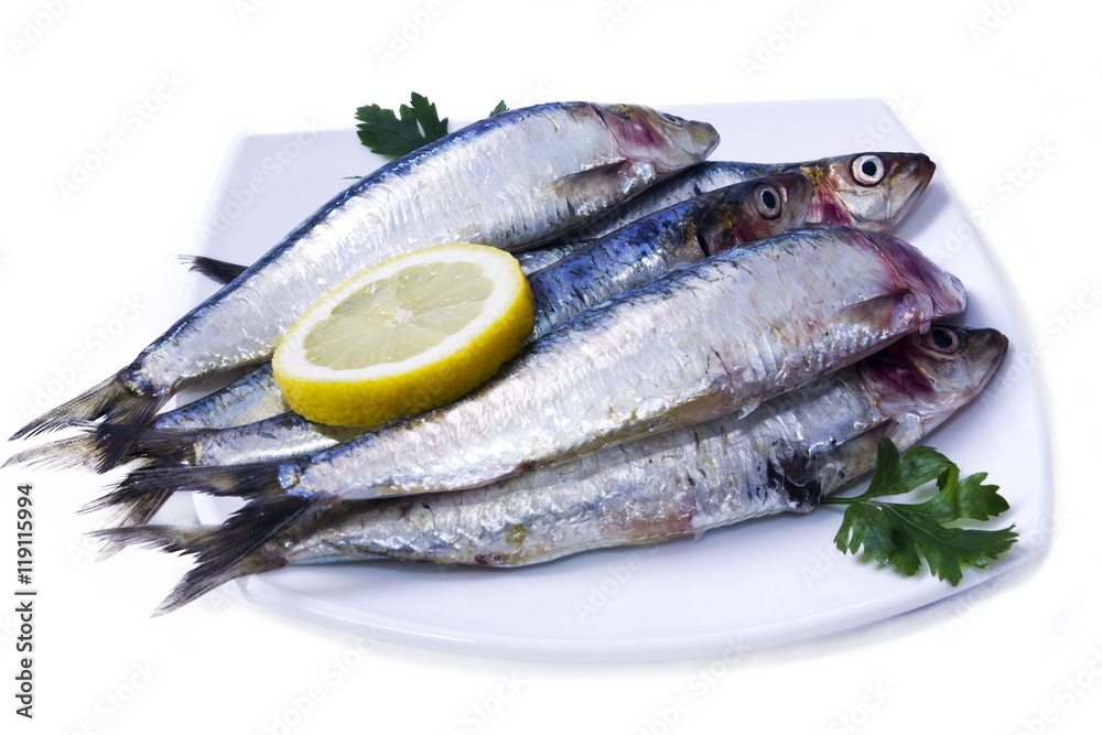dish of sardines with parsley and lemon isolated dish of sardines with parsley and lemon isolated