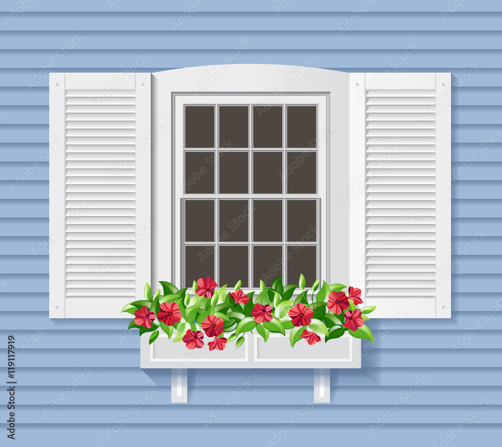 White window with flowers pot.