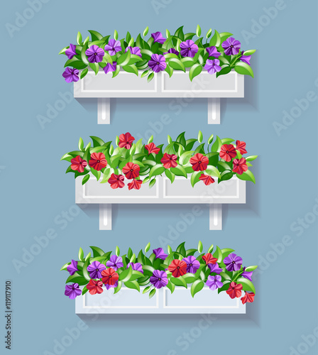 Flower pots. Window flowers. Petunia. Floral set.