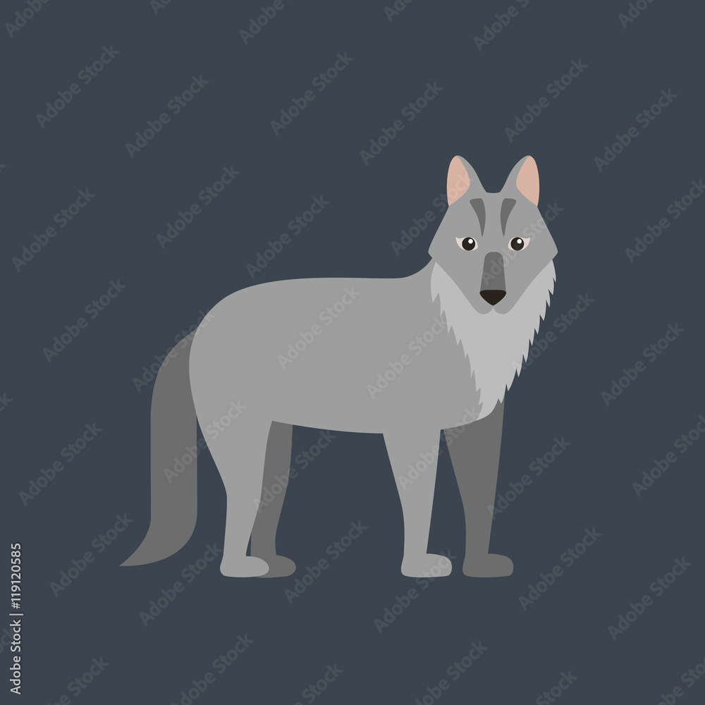 Obraz premium Vector wolf flat illustration.