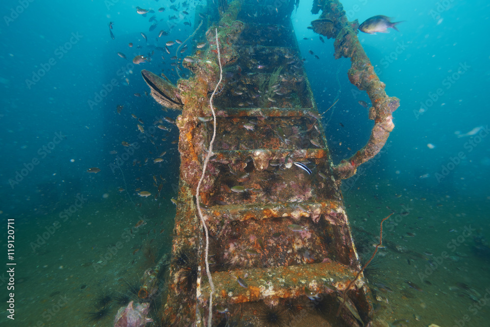  Marine shipwreck