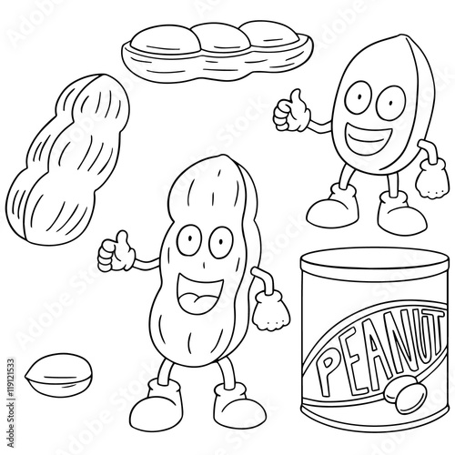 vector set of peanut