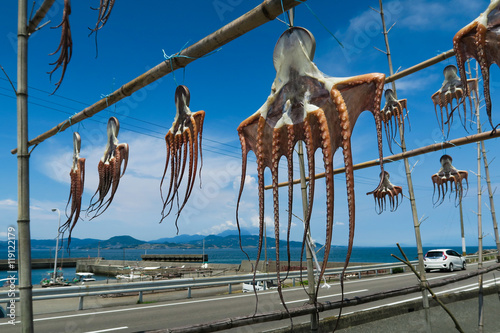 Dried octopus in Amakusa,Kumamoto,Japan