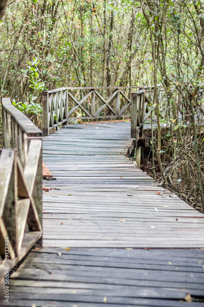 wood bridge through the mangrove forest with sun light at the en