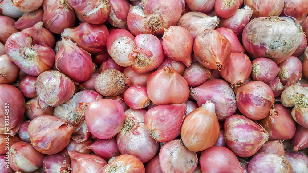 fresh onions top view background texture fresh onions top view background texture