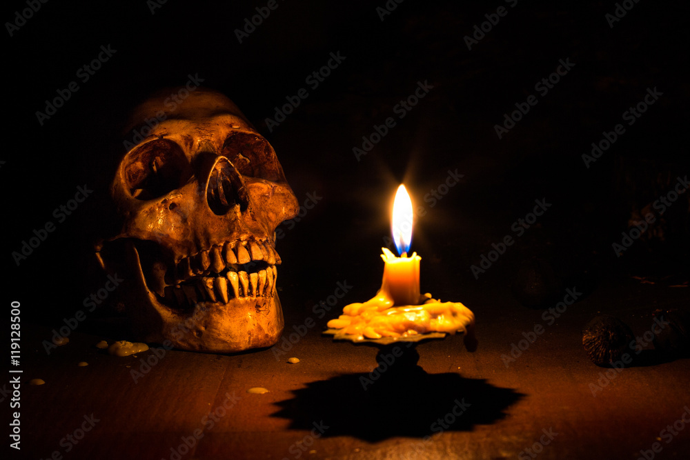 Skull and candle in the dark light /Still Life style Skull and candle in the dark light /Still Life style