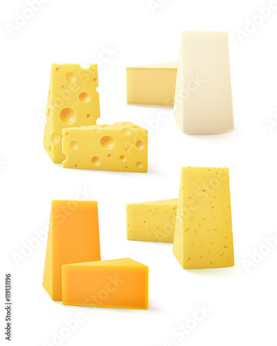 Vector Set of Various Kind Cheese Cheddar Bri Camembert
