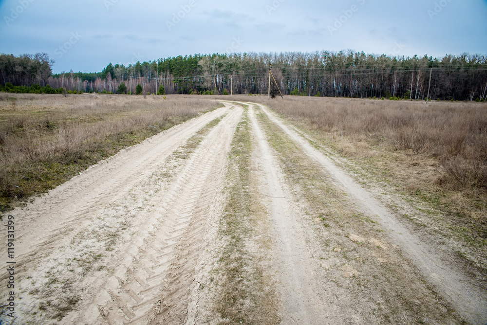 Naklejka premium dirt road to the forest 