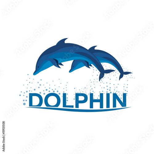 Dolphinarium. Dolphin logo. Banner. Vector flat illustration.