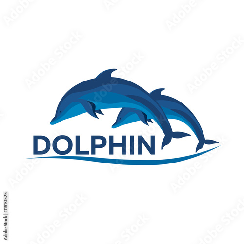 Dolphinarium. Dolphin logo. Banner. Vector flat illustration.