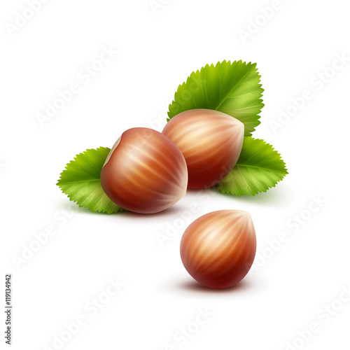 Vector Full Unpeeled Hazelnuts with Leaves