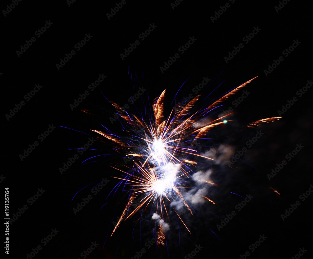 Celebration firework in the black night sky Celebration firework in the black night sky