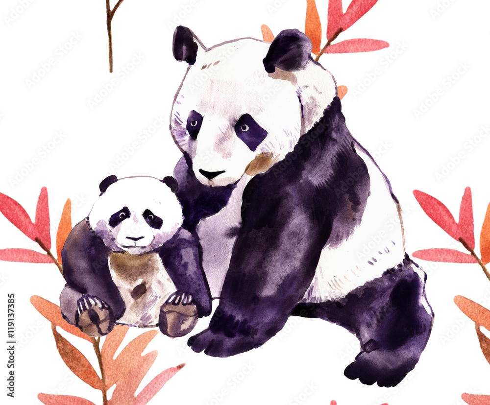 Fototapeta premium Akwarela Panda. Miś Panda i niedźwiedź niemowlęcy. Panda Bear akwarela ilustracja na białym tle