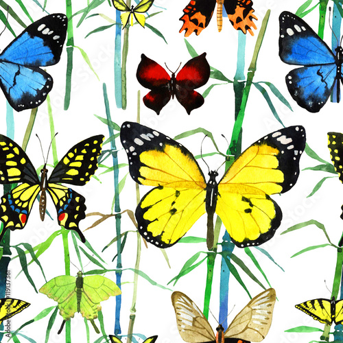 watercolor butterfly pattern © shat88