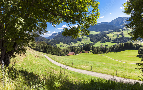 Panorama View Allgäu Mountains and Path near Oberstaufen